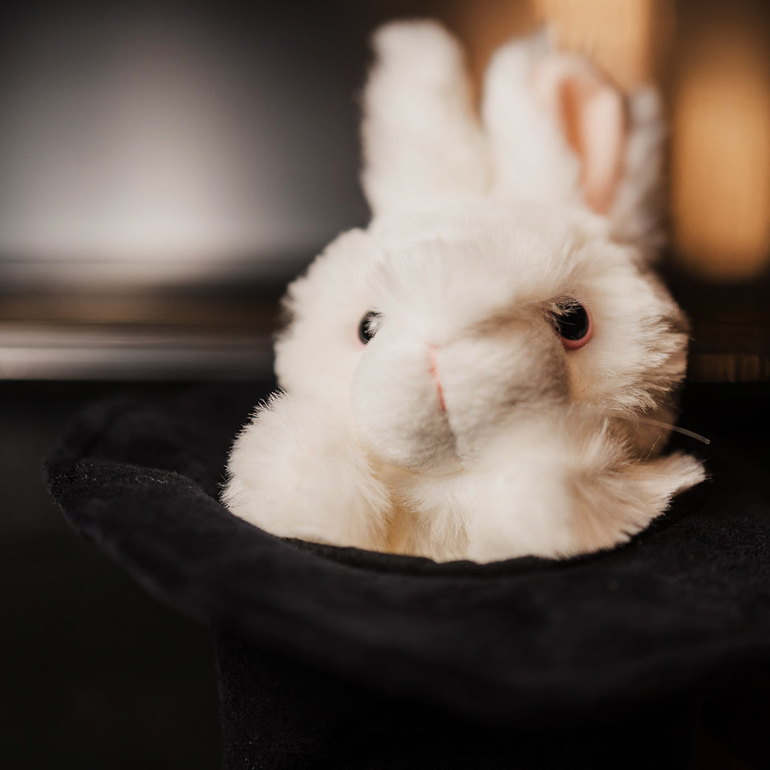 Rabbit in the Hat Puppet